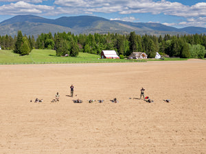 VerTac Idaho