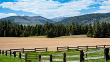 Load image into Gallery viewer, VerTac Idaho
